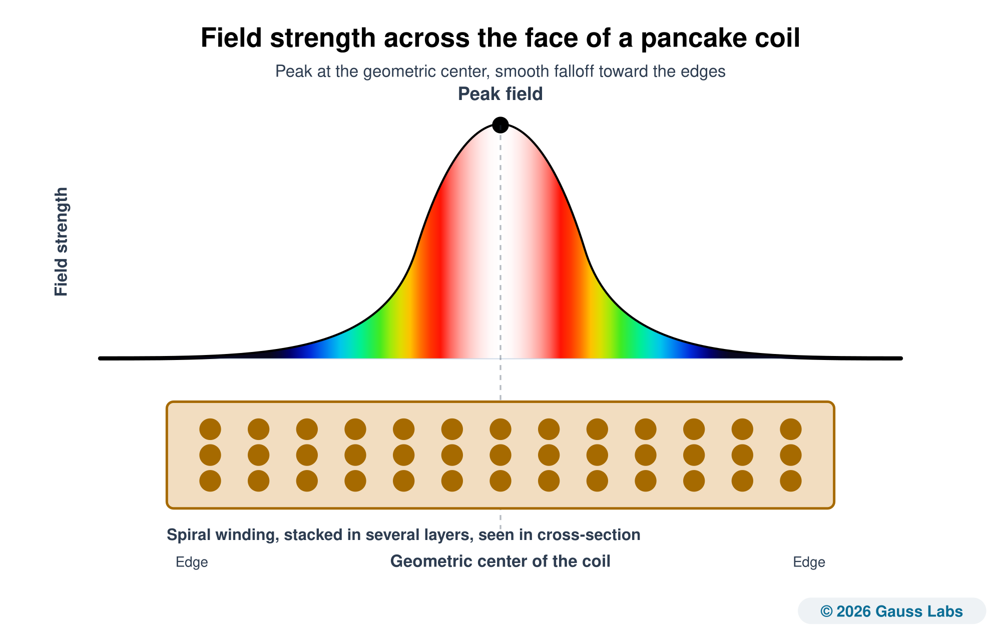 A cross-section of a pancake coil drawn beneath a field-strength curve. The spiral winding is stacked in several layers, drawn as three rows of copper dots inside a thin housing. Above the coil, a curve shows magnetic field strength peaking directly above the geometric center of the coil and falling off smoothly toward the edges. The area under the curve is filled with the Gauss Labs field colour scale, white at the peak through red, yellow and green to deep blue at the weak edges, so the colour states the field strength before any label is read.