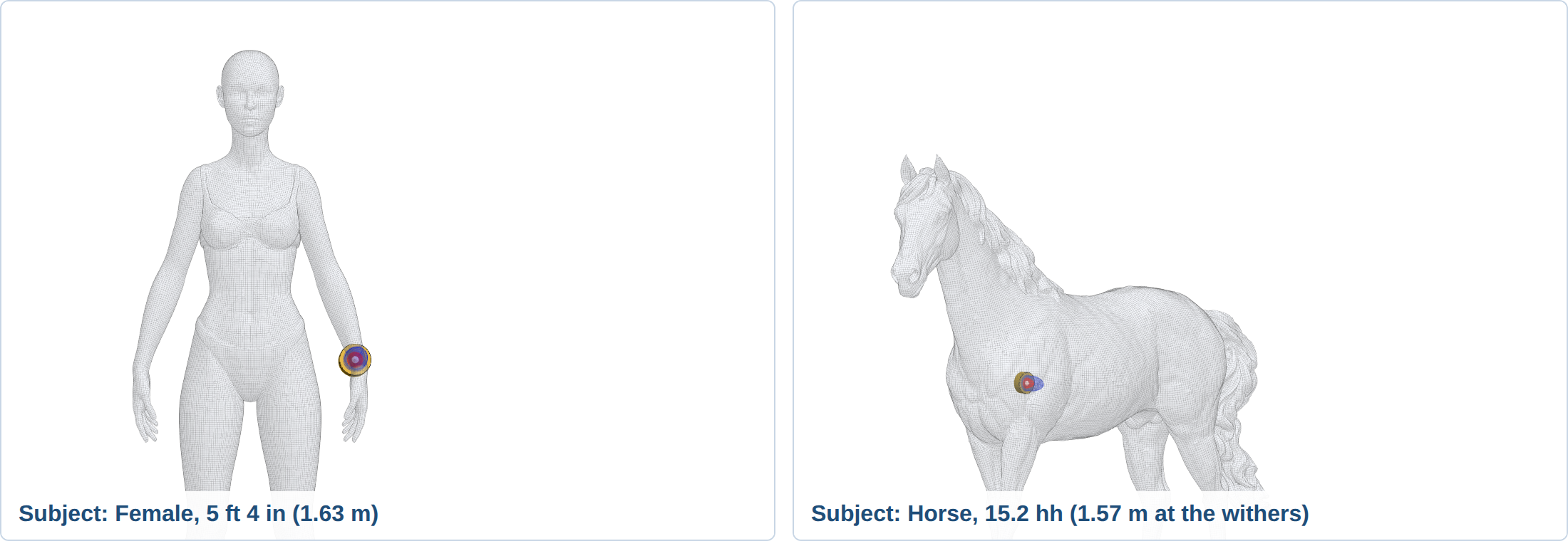 Two panels from the embedded viewer side by side. On the left the Paddle sits at the wrist of a female figure. On the right the same Paddle sits on the shoulder of a horse. Each panel names its subject.