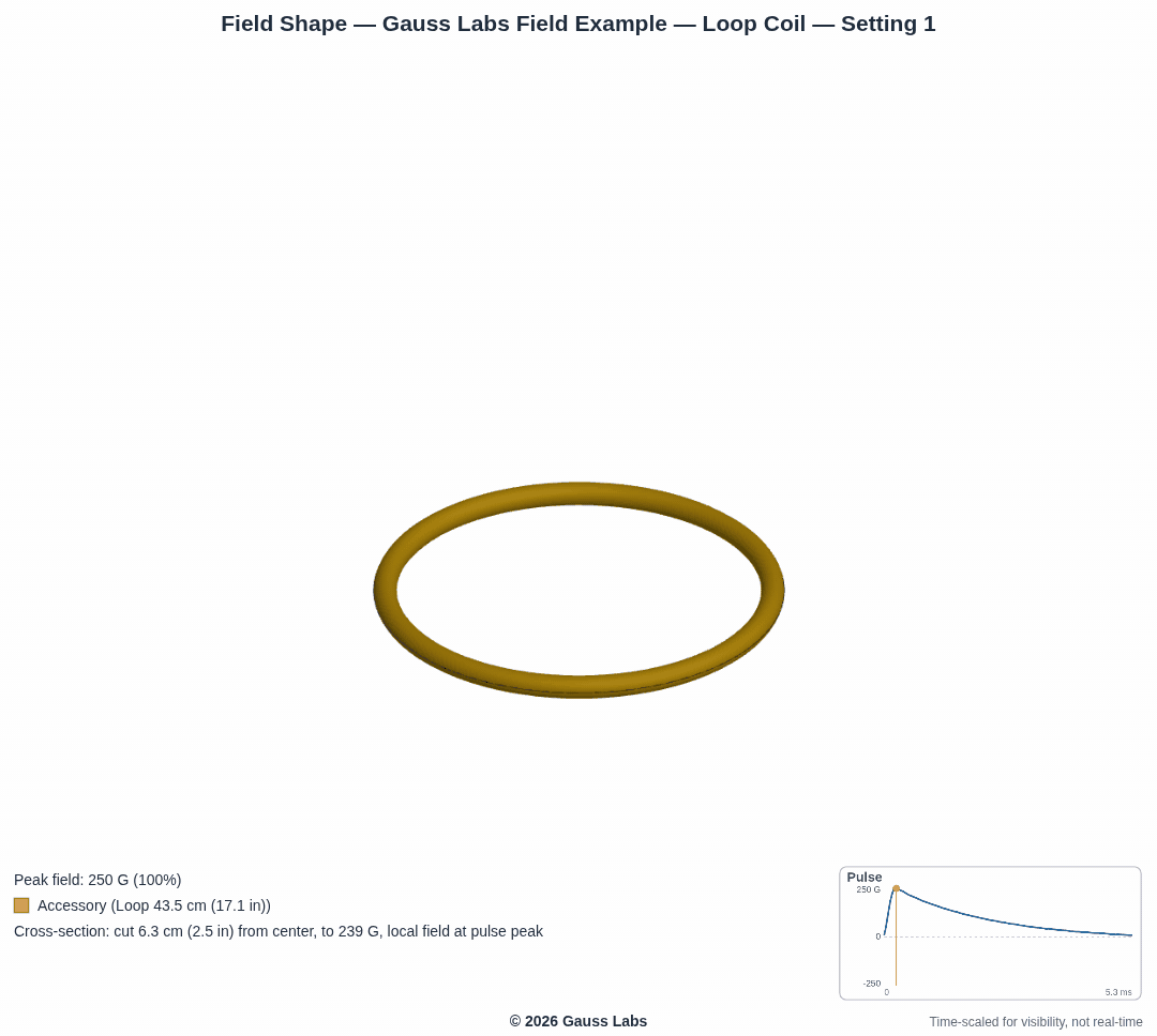 Loop Coil example: Cross-section sweep of the measured PEMF field