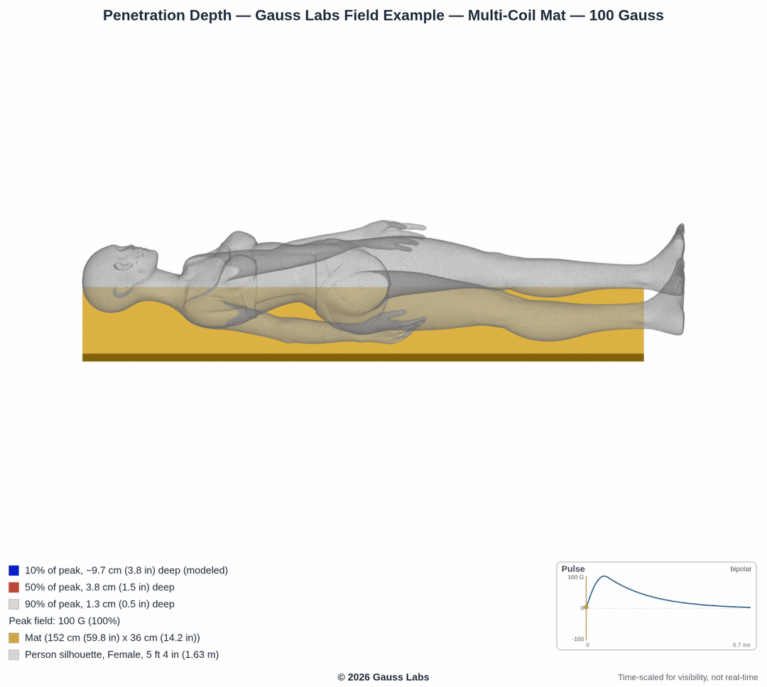 Multi-coil mat example: a full-scale person lying on the mat with each coil's measured field rising off the mat and into the body, showing how far the field reaches and how much of the person the mat covers.