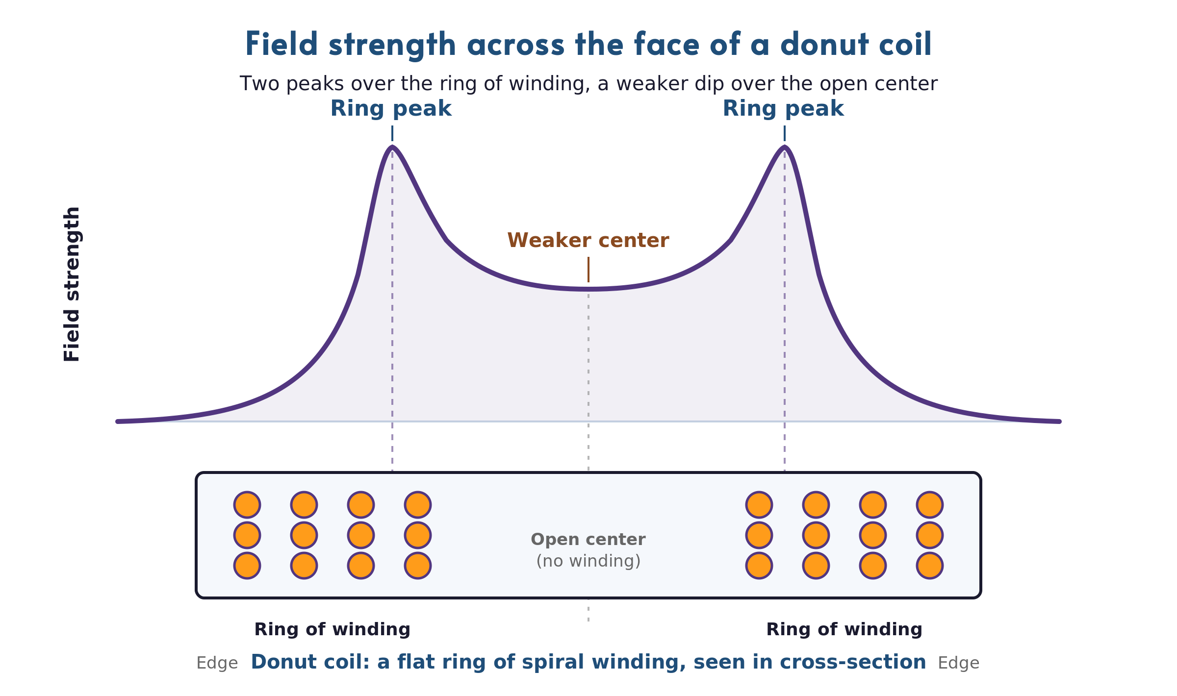 A cross-section of a donut coil drawn beneath a field-strength curve. The winding sits in two clusters of small filled circles, a ring of wire on the left and a ring of wire on the right, with an open gap in the middle. Above the coil, the field-strength curve rises to two narrow, steep peaks, one over each ring of winding, and dips to about half strength over the open center.
