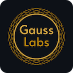 Gauss Labs Logo - Color